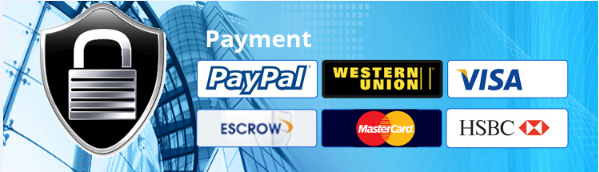 Terminal 4 PON 8 Havens 4 Havens 16ports MA5608t OLT van de Optfocusftth Optische Lijn 8